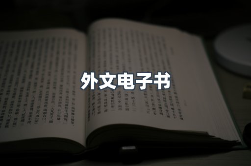 外文电子书